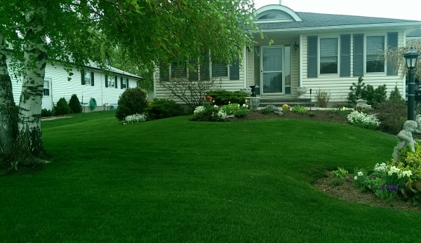 frontyard landscaping 2