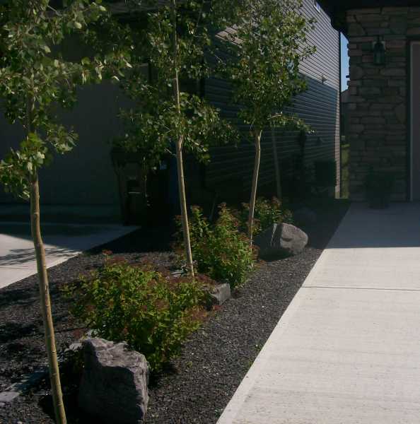 Driveway Landscaping Photos 2