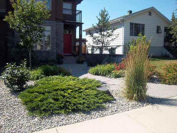 Many people looking for infill landscaping ideas for small front yards 