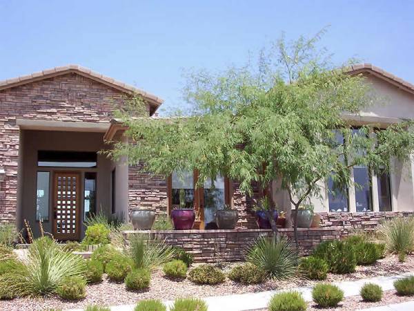 Frontyard desert landscaping design with native plants. Professional 
