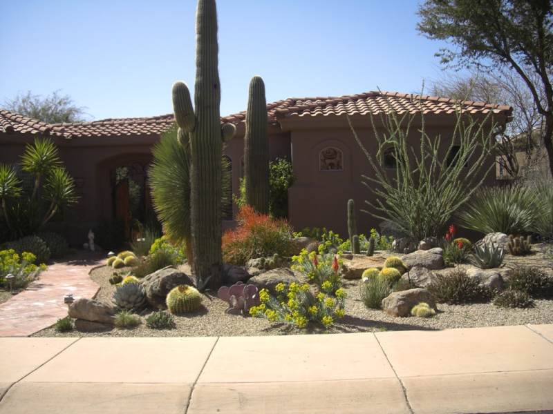 Desert Landscaping Ideas Photograph | More Desert Landscapin