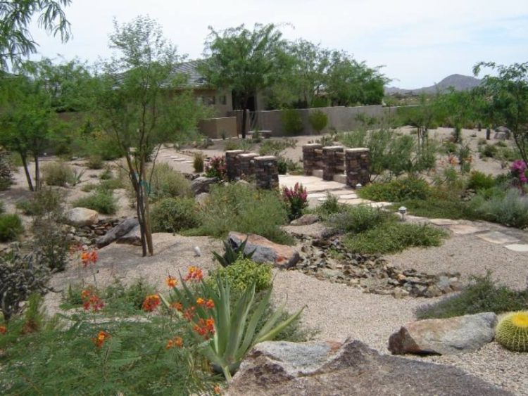 ... stone path strolls past hearty shrubs in this large desert yard