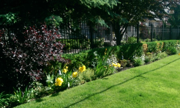 Iron fences are nicely softened with fence line border flower gardens, shrubs and trees.