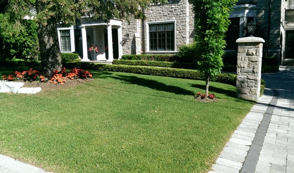 Some low hedges provide nice lines and form in this simple front yard design.