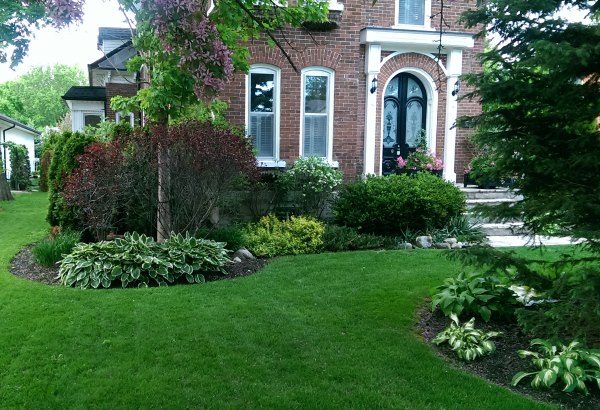 An older home with a well manicured lawn weaving through front yard garden beds.