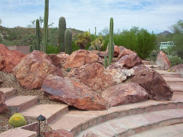 Desert rock garden ideas to give you inspiration from a well known professional Arizona landscape company.