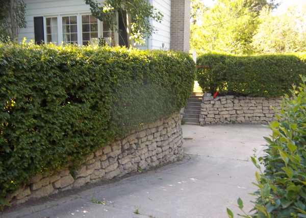 These stone retaining walls were built using reclaimed concrete.