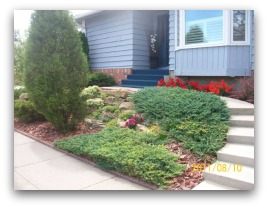 Stonewall and landscaping shrubs in front yard.