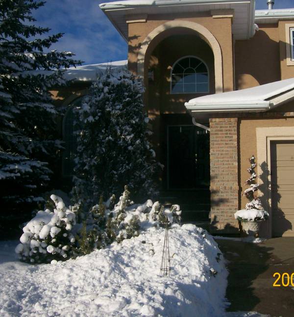 Working with evergreen and spruce trees around the front entrance of a home, is a great way to provide privacy and shade year round. 