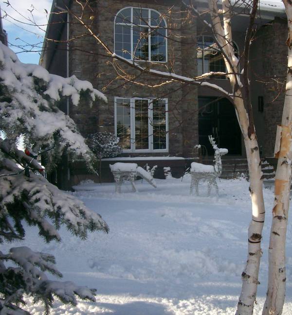 Deer have become a very popular outdoor decorating idea for Christmas over the last few years.