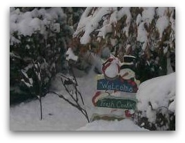 This snowman picture caught our attention as he holds this welcome sign. It is one of those simple, but quaint things that give so much character to this winter garden.