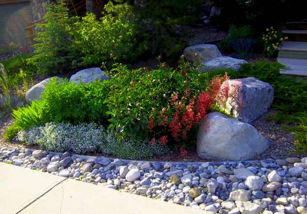 Landscaping with rocks is increasing in popularity as water consumption