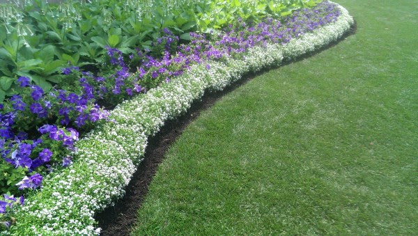 Limited Colours simplify and repetition makes for a smooth flowing garden border that doesn't confuse the eye. Don't be afraid to add a small boulder or tree every so often for interest.