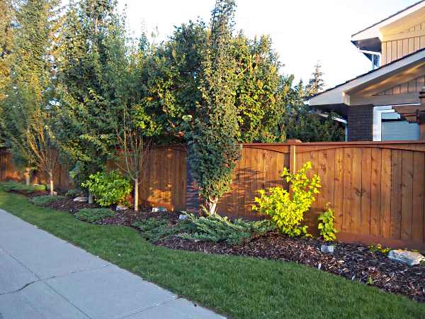 A nicely bordered garden along a sidewalk adds curb appeal and softens the look of this fence.