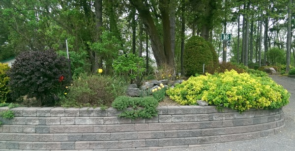 This block retaining wall provides a nice plateau for a raised garden bed at this driveway entrance.