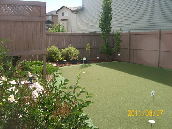 Putting greens like this artificial one are becoming very popular for backyard landscaping.
