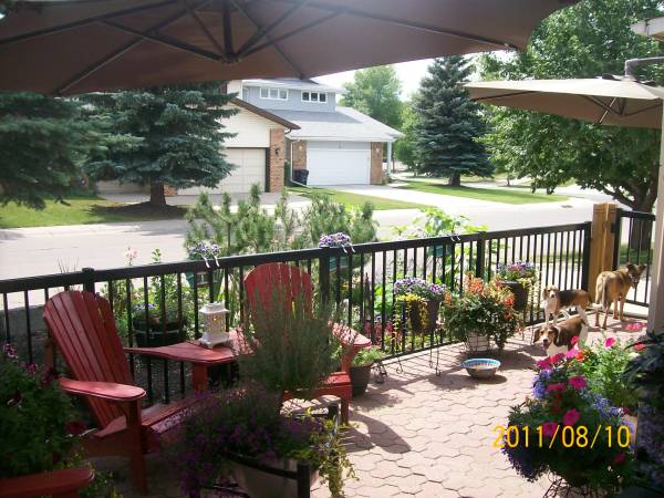 Front yard landscaping doesn't always have to be a lawn and driveway.