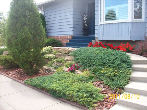 This wall made with larger natural stones has creative plantings between the cracks. Decorative rocks, low maintenance shrubs and perennials