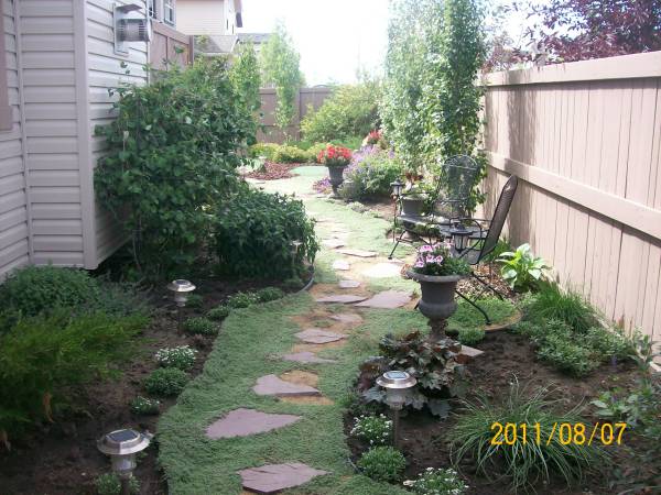 This stepping stone path is surrounded by wooly thyme on it's journey to the backyard.