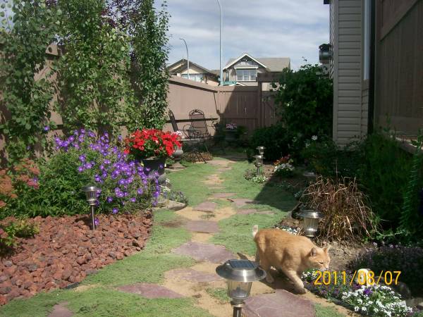 Patio areas don't always have to be backyard features.