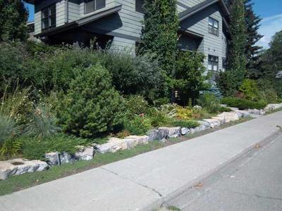 Planting for privacy along the side yard.