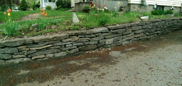 This low stone retaining wall lines a driveway while providing an extension of flat yard for a garden bed.