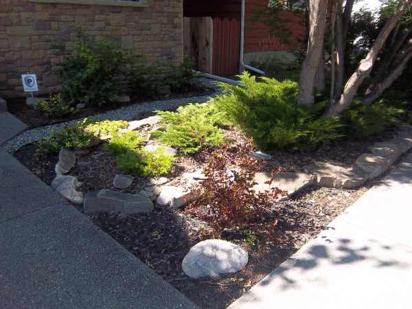 Small front yard landscaping made simple.