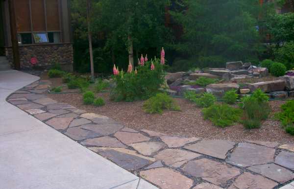 Driveway landscaping with flagstone providing a walkway that doubles as a border to a low maintenance front yard.