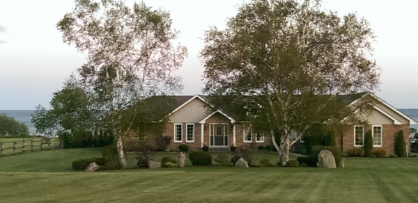 A huge front lawn is broken up by a long rock garden of erratic boulders. The two trees add a dimension of height to the wide yard.