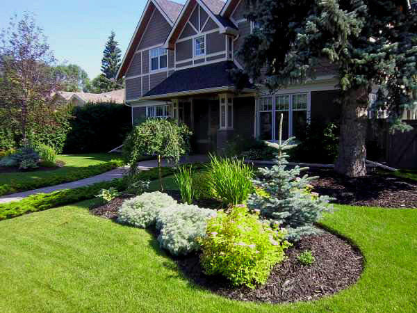 A simple yet beautiful front yard landscape design with low maintenance mulched garden beds.