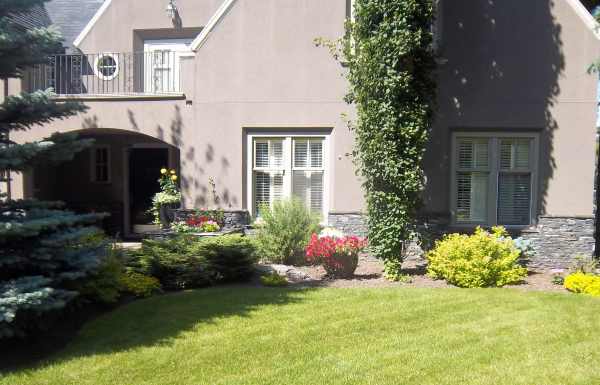 A nice mix of shrubs give color and life to this front garden bed.
