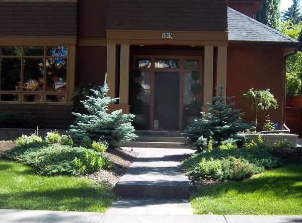 A small front yard walkway with symetrically balanced low maintenance beds. 