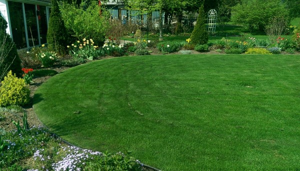 A Nice flowing curve on the garden defines an outdoor room to play or sit on the grass while enjoying the variety of plants.