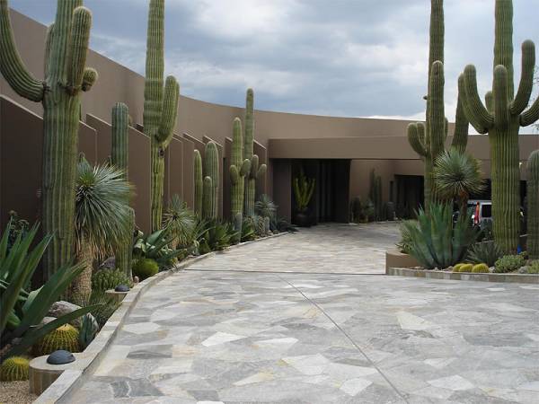 This driveway landscaping design has native desert plants complimenting a natural flagstone driveway.