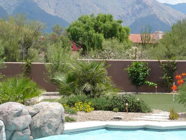 Poolside landscaping in Arizona with feature boulders on the edge of the pool.
