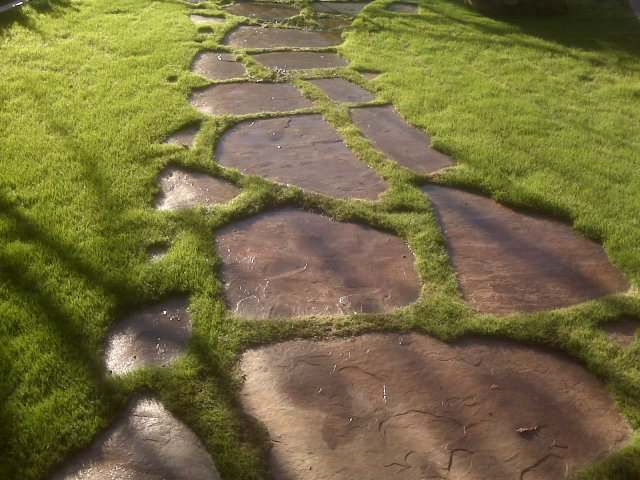 Another example of a stepping stone walkway set in the grass. 