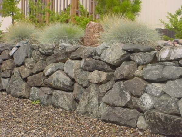 Fieldstone walls can look good when they are tight with no gaps, or