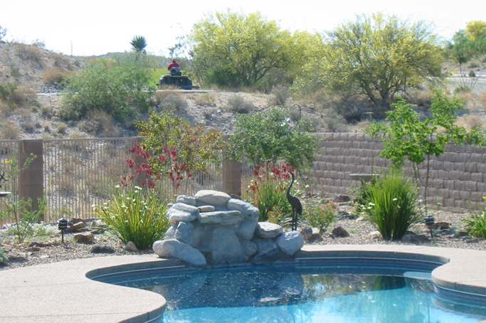 Desert landscaping often incorporates decorative rocks, gravel, small boulders, and fieldstones as features and groundcovers.