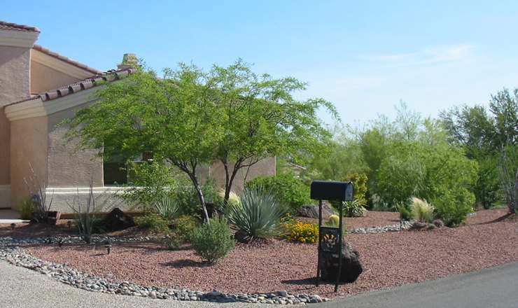 This front yard design extends around the side where native desert plants alongside a dry creek bed resemble an oasis.