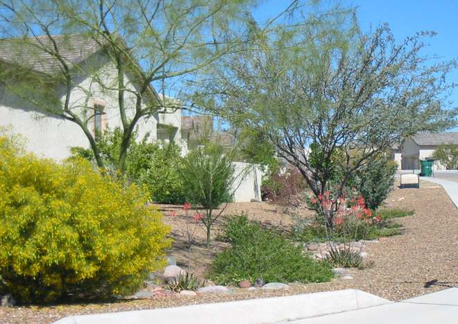 This side yard on a corner lot has desert plants set directly in the dry creek bed. 