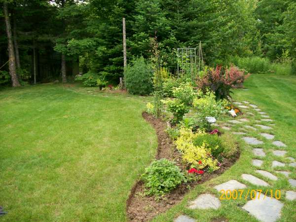 Design a backyard to blend in with the existing wild trees and shrubs.