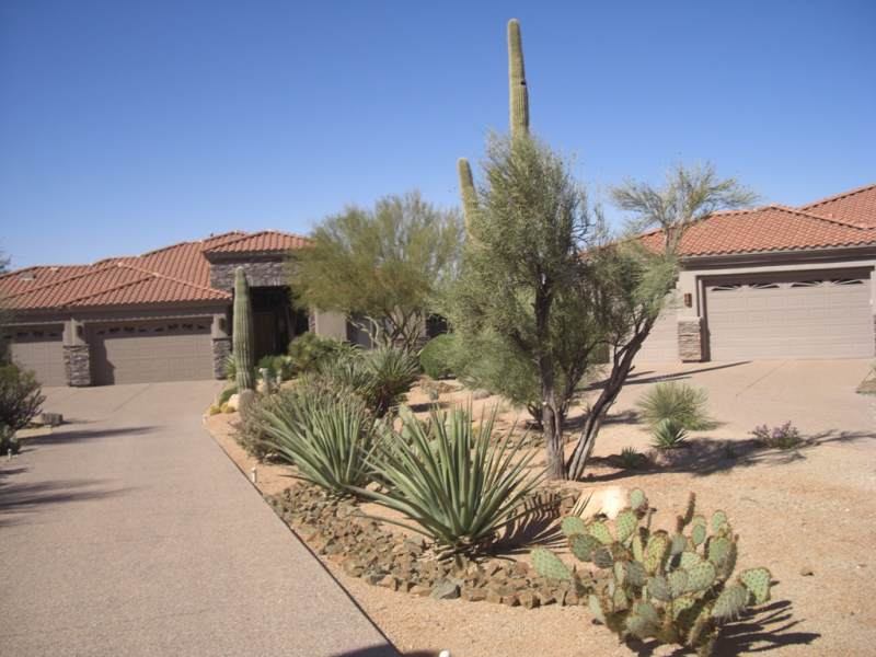 Driveway landscaping in the desert. A dry creek bed meanders down through the yard and native desert plants to the street. 