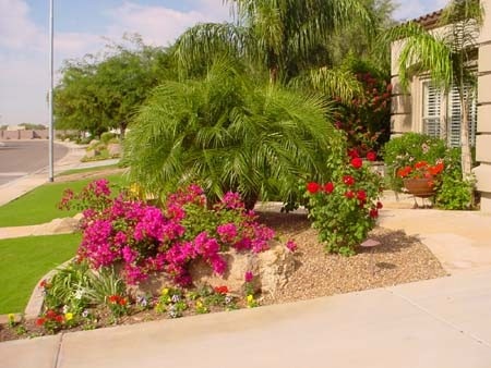 Desert landscaping can still be lush with proper irrigation installed. 