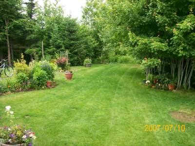 Flowerbeds add beauty to any yard and make great borders. 