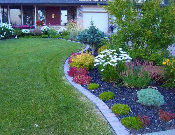 Landscape bricks make for nice clean defined borders between a lawn and garden.