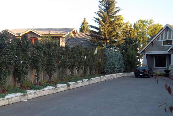 Effective driveway landscaping ideas for a narrow strip between houses that have longer driveways.