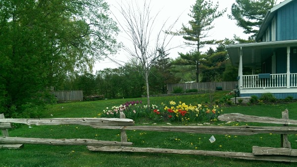 A nice 2 rail fence assembled with weather wood and secured to the posts with wire.