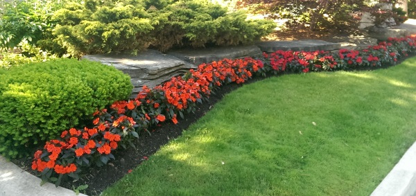 Simplicity is one of the most important principles of landscape design to follow for DIY landscape designers.