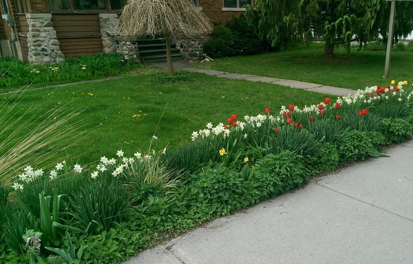 A sidewalk border creates a barrier and dresses up this front lawn with some colour.