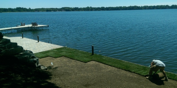 Rolling out some new sod down by the lake.